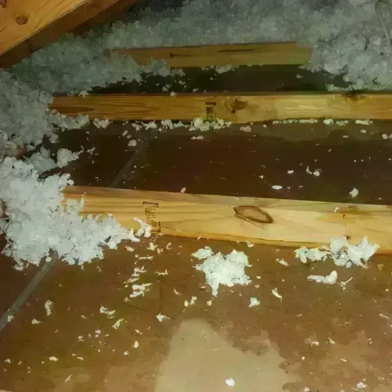 Attic Water Damage in Diamond Ridge, AK